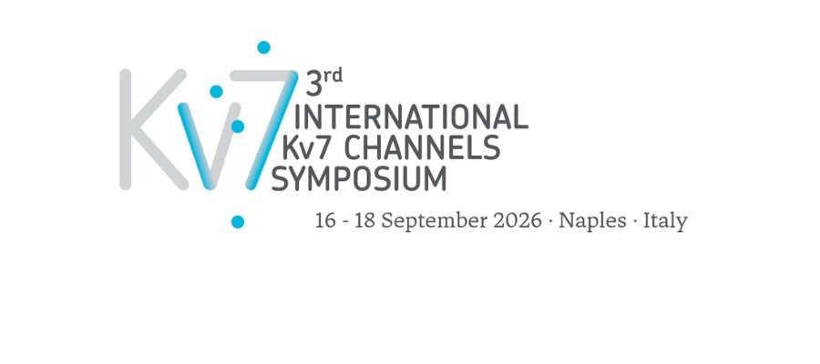 Kv7 2026 - Travel Agency