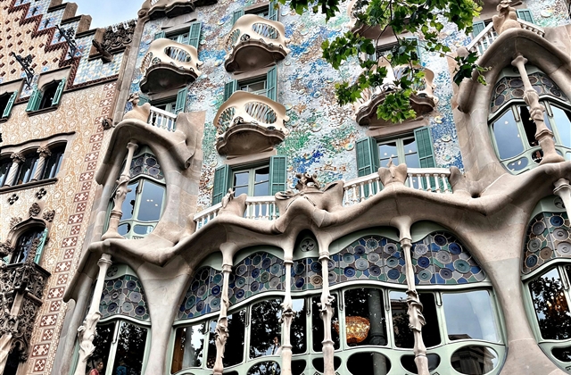 EWMA2025forMolnlycke